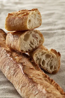 Levain liquide actif de blé CRC Sapore Ascanio