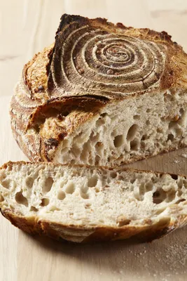 Mélange de graines pré-trempées dans du levain Softgrain Epeautre