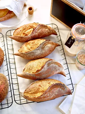 Levain liquide dévitalisé d’épeautre Sapore Senta Tempo Bio