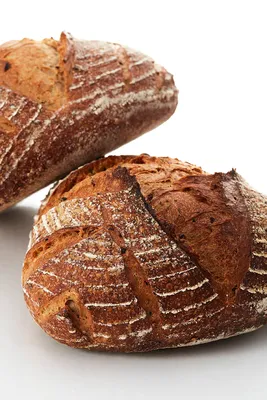 Pain Softgrain Ancient