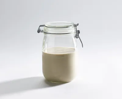 Levain liquide actif de blé CRC Sapore Ascanio