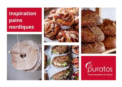 Inspiration Pains Nordiques
