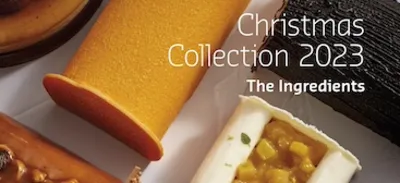 Patis’Info Christmas Collection 2023