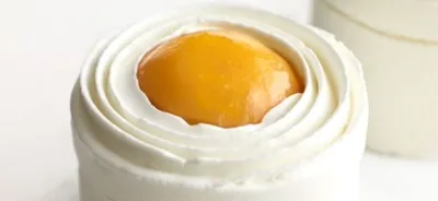 Entremets Mangue Bien-être