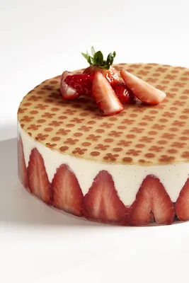 Fraisier Classique