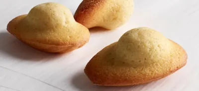 Madeleine Classique