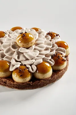 Préparation végétale pour la décoration Ambiante Topping