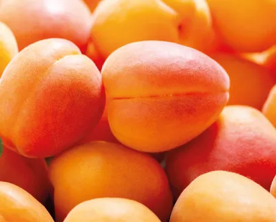 Pâte concentrée d'abricots sans morceau Classic Abricot Clean(er) Label