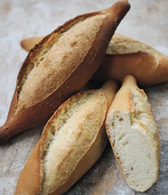 Levure sèche Pante Red