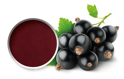 Purée de fruits Starfruit Cassis