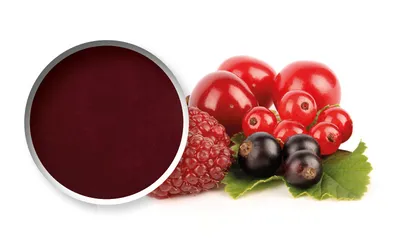 Purée de fruits Starfruit Fruits Rouges