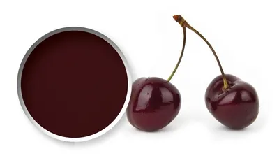 Purée de fruits Starfruit Griotte