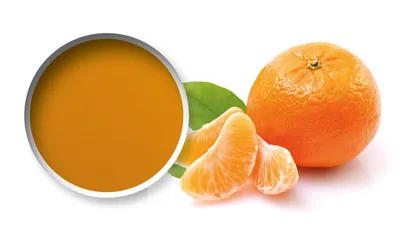 Purée de fruits Starfruit Mandarine