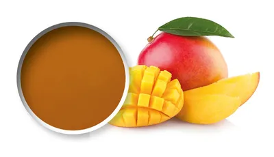 Purée de fruits Starfruit Mangue