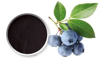 Purée de fruits Starfruit Myrtille