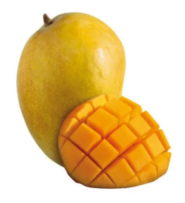 Pâte concentrée de mangue sans morceau Classic Mangue Clean(er) Label