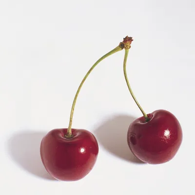 Pâte concentrée de cerise sans morceau Classic Cerise Clean(er) Label