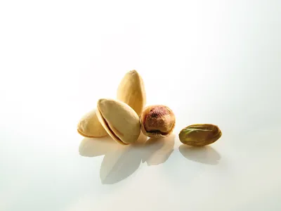 Pâte concentrée de pistaches sans morceau Classic Pistache