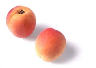 Fourrage type compotée Topfil Abricots 70%
