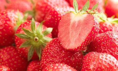 Pâte concentrée de fraise sans morceau Classic Fraise Clean(er) Label